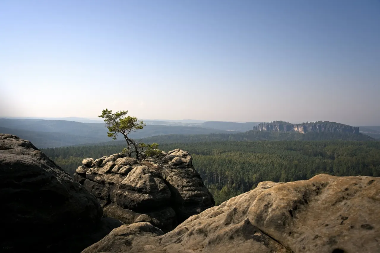 Blick über Sandsteinfelsen und Wälder im Elbsandsteingebirge